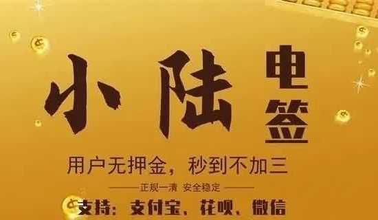 星驿付小陆POS机如何刷京东白条？